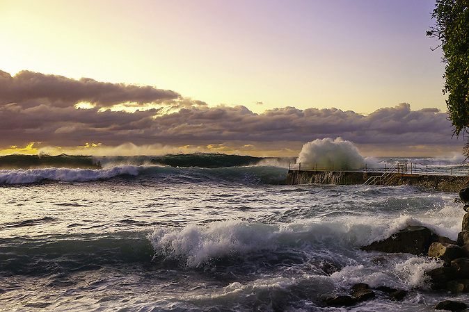 Bondi Waves