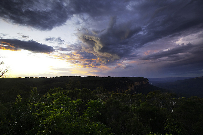 Storm Brewing